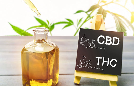 CBD vs. THC: What’s the Difference?