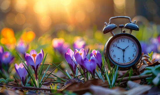 Spring Forward Without Sleepless Nights: How CBD Can Help You Adjust to Daylight Saving Time