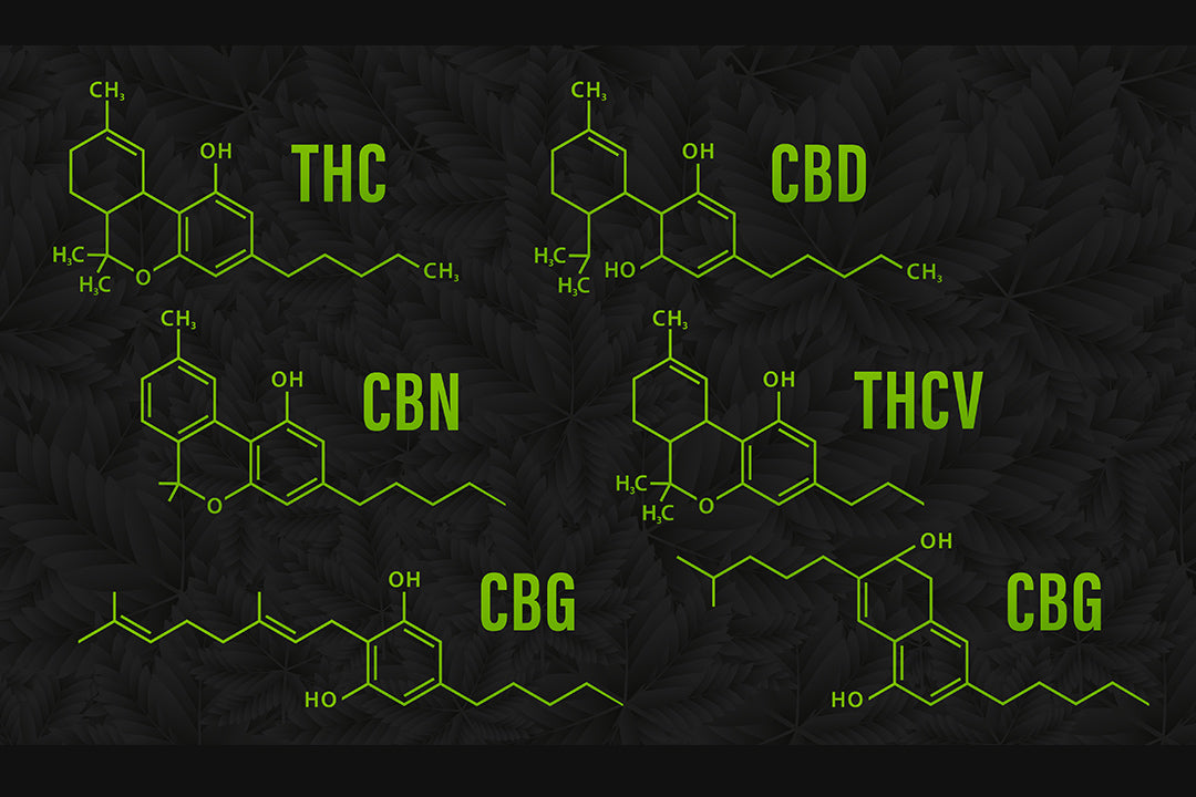 Unlocking the Power of Multiple Cannabinoids in Soulful Bee Products